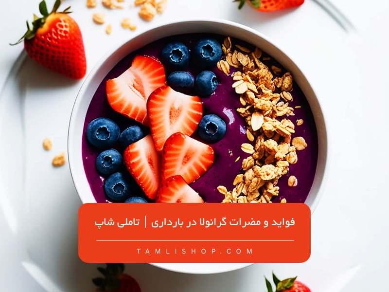 granola-during-pregnancy